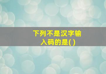 下列不是汉字输入码的是( )